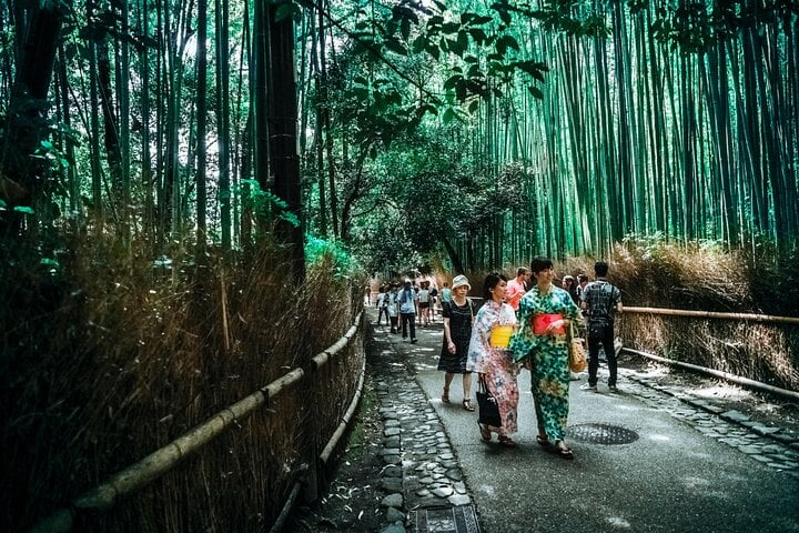 Tokyo, Mt. Fuji, Kyoto and Nara 6 Days Private Tour 9