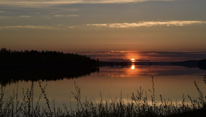Moose Safari from Kemi - Kemi photo 3
