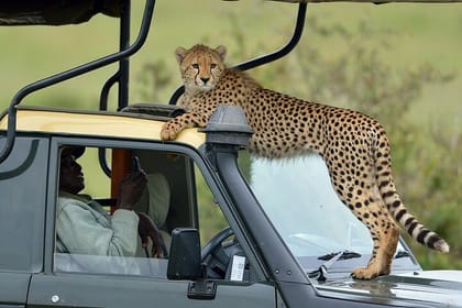 4 Days 3 Nights Samburu National Reserve Lake Nakuru Safari
