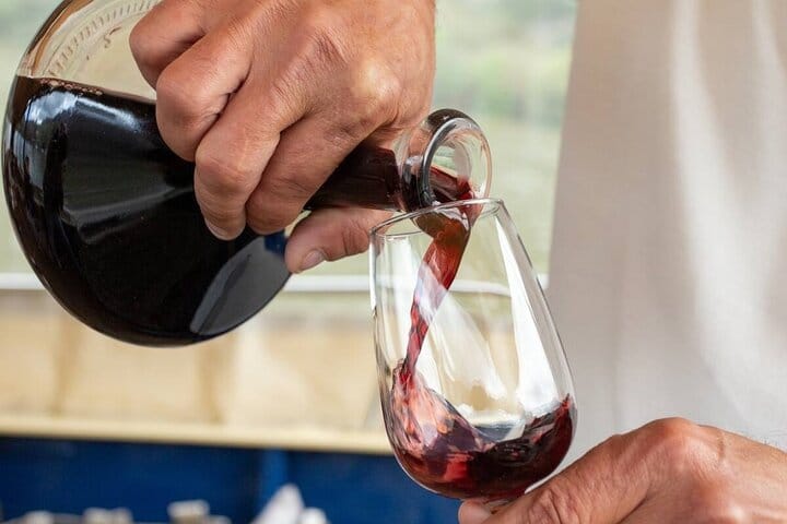 DOURO VALLEY: Premium Wine Tour, Lunch at Winery & Private Cruise