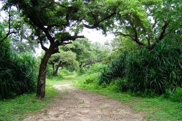 Adventure & Safari Tour