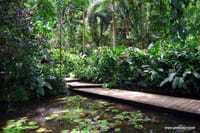 Garden of the Sleeping Giant