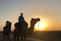 Camel Riding with sunset in Osian Desert.