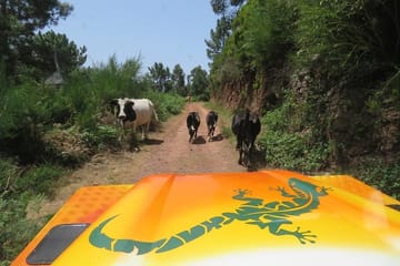 4X4 Full-Day Tour of Calheta and Derweze Craters of Fire