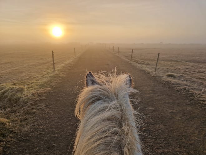 04D - Riding and Gullfoss, Geysir & Þingvellir 9
