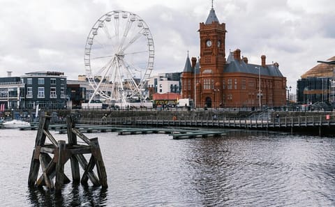 Cardiff Cultural Day Tour with Castle and Bute Park Visit