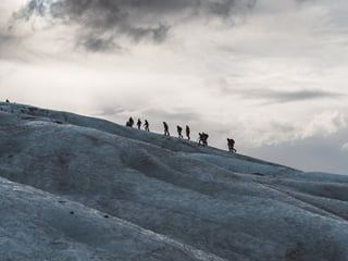 Glacier Encounter , photo 6