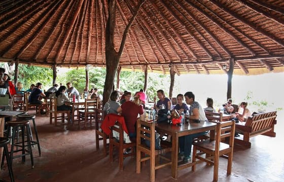 Nairobi Nightlife and Safaripark Hotel Cat Dance Dinner