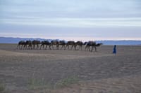 Zagora Desert and Draa Valley 2-Day Low Cost Group Tour 7