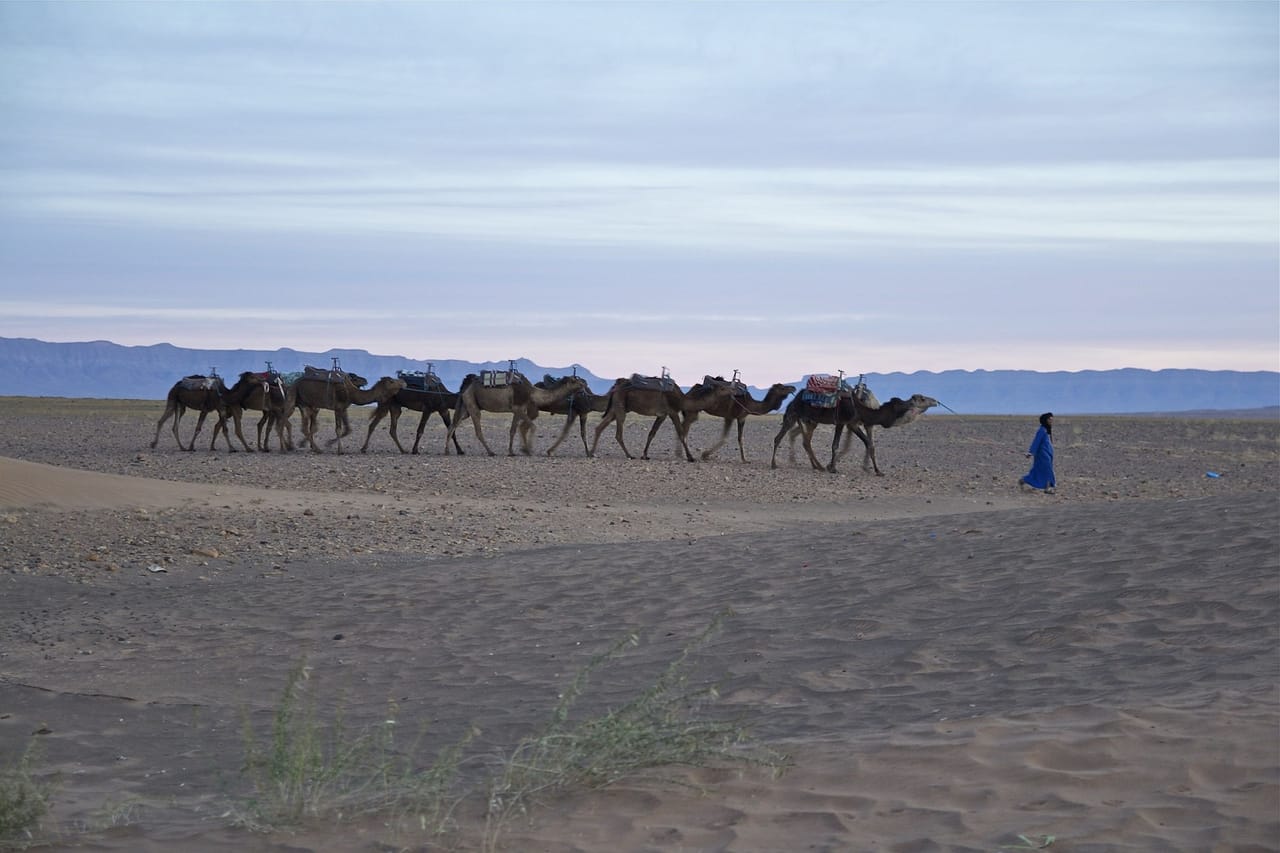 Zagora Desert and Draa Valley 2-Day Low Cost Group Tour 7