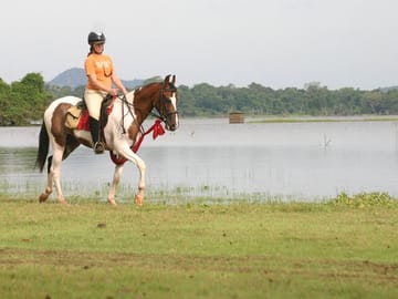 Half-Day Horse Riding Tour in Dambulla and Sigiriya