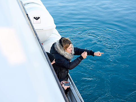 Whale Watching Cruise from Reykjavík, photo 19