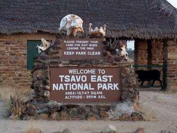 Tsavo East National Park Wildlife Safari Day Trip from Mombasa