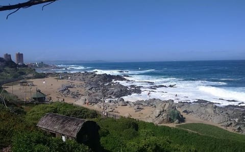 Private Poetry and Wine Tour in Isla Negra from Santiago