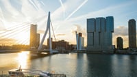 Rotterdam Highlights Audio Tour: Architectural Marvels and City Icons 4
