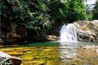 Sinharaja Bird Watching Day Tour from Colombo 5