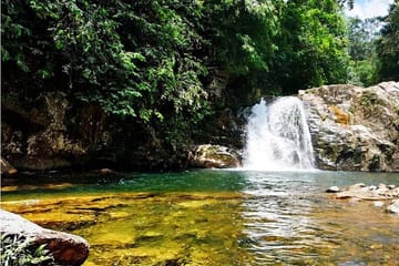 Sinharaja Bird Watching Day Tour from Colombo