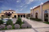 Horse Riding Session with Lunch and Spa at Dubai Polo & Equestrian Club 4