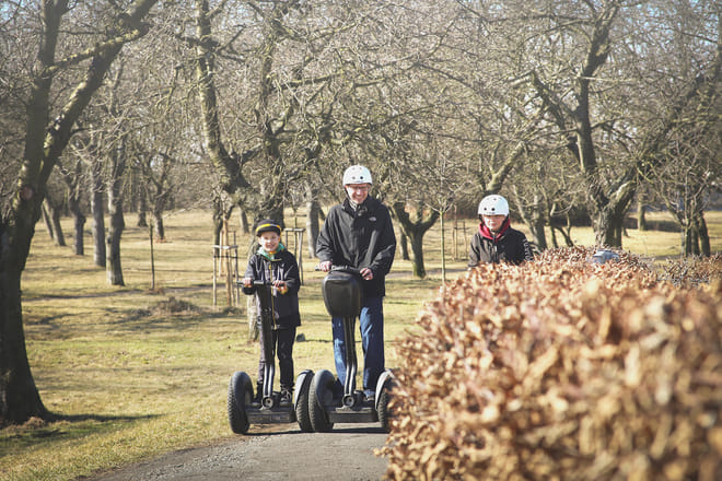 3-Hour Segway Tour with Free Taxi Transport photo 6