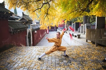 Luoyang Longmen Grottoes and Shaolin Temple Day Tour from Xi'an