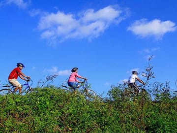 Half-Day Cycling Tour of Rural Yala and Tissamaharama