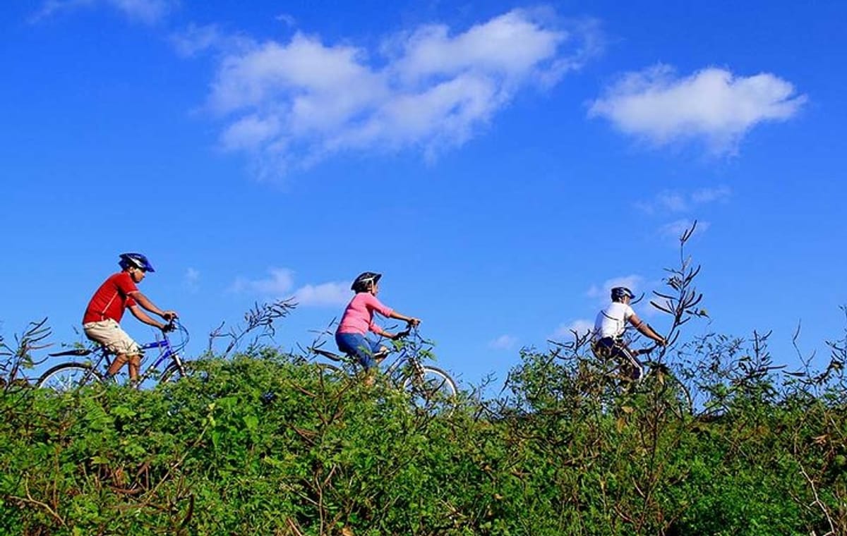 Half Day Village Cycling Tour in Yala: