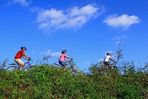 Half Day Village Cycling Tour in Yala: