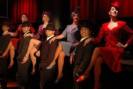 Rojo Tango Dinner & Show Experience with Private Transfers in Buenos Aires