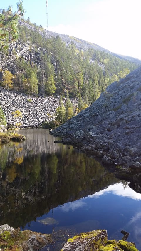 Discover the Secrets of Pyhä-Luosto National Park – Guided Hike to the Sacred Waterfall 9