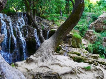 Private Day Trip from Fes to the Middle Atlas Mountains