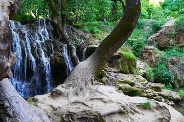 Private Day Trip from Fes to the Middle Atlas Mountains