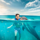 Dolphin Encounter en Cozumel 7