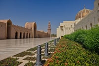 Private Day Trip to Grand Mosque & Wahiba Sands  1