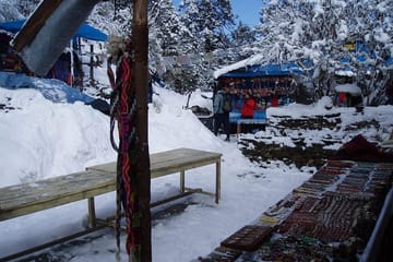 7 days Annapurna MBC Trek