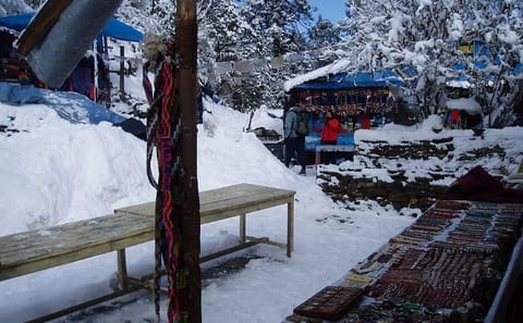 Annapurna Base Camp Trek: 7-Day Guided Adventure in Nepal