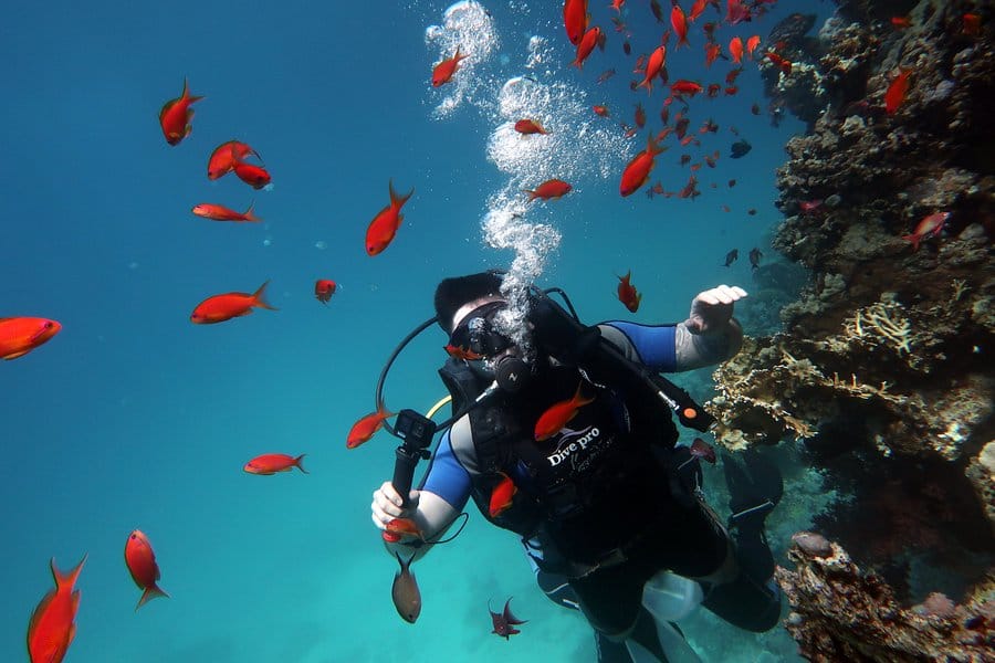 sharm el sheikh safari trip