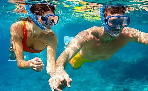Samadai Reef – Dolphin House Snorkeling Tour at Marsa Alam
