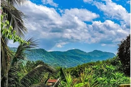 Half- Day Tour of Dunn’s River Falls and Blue Hole in Ocho Rios