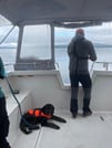 Cod & Chill: Arctic Fishing in Tromsø 9