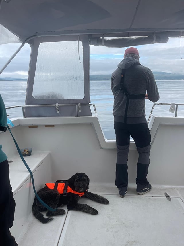 Cod & Chill: Arctic Fishing in Tromsø 9