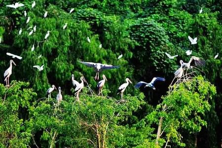 Authentic Mekong Delta Experiences: Biking, Floating Markets & Nature
