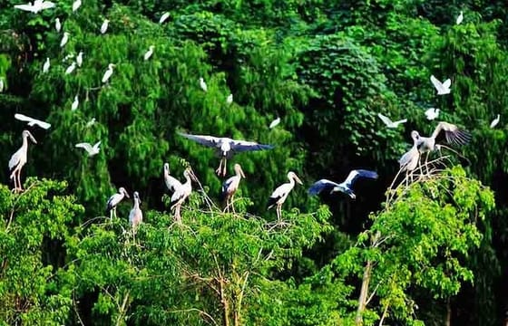 Authentic 1 – 3D2N