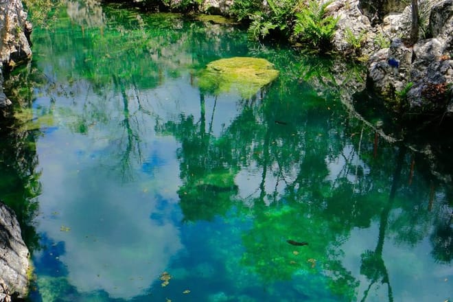 Tour en Cenote de Tulum 5 Cenotes y Despierta Tus Sentidos