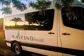 Hawaii Volcano NP Private Tour: 4-Hour Park Immersion