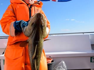 Sea Angling, photo 8