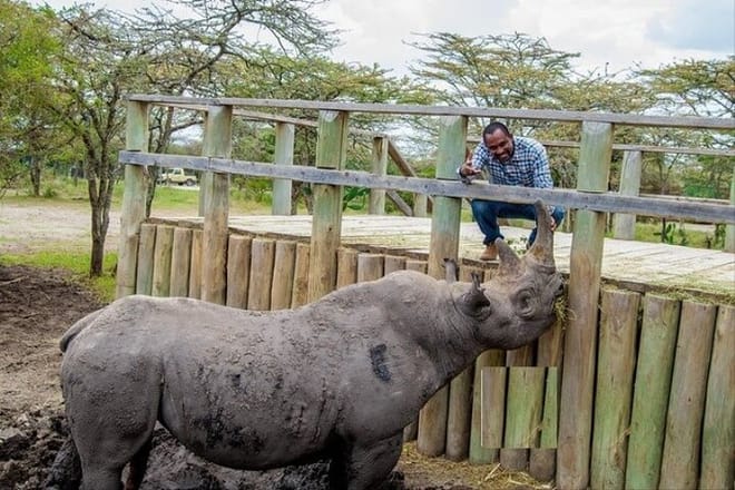 Samsons Safaris' s Director with Baraka the black rhino