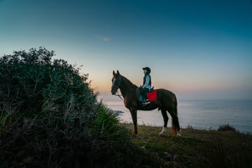 Horseback Riding – Tangier (Mountain & Sea)