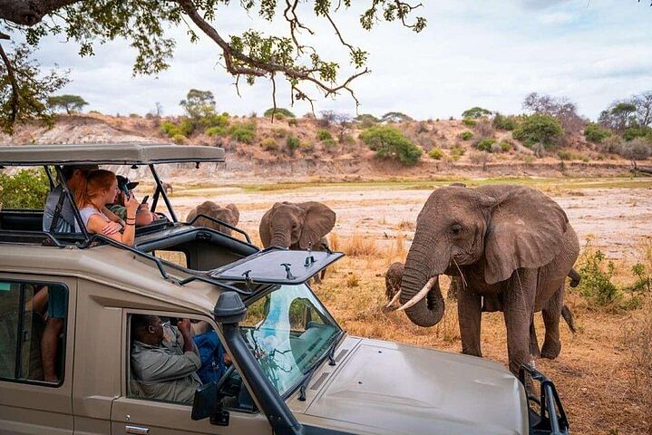 7 Days Taste of Kenya Safari Adventure Budget Package on 4×4 Jeep