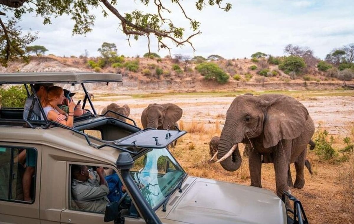 7 Days Taste of Kenya Safari Adventure Budget Package on 4×4 Jeep