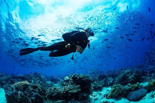 Fethiye: Full-Day Scuba Diving incl. 2-Dives, Lunch Transfer